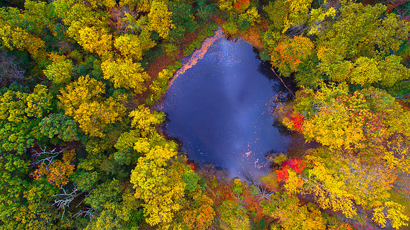 PENNSYLVANIA POND IN AUTUMN