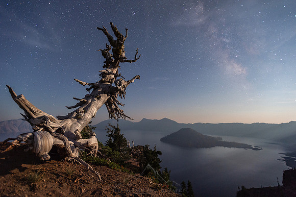 "DREAM LAKE" | CRATER LAKE NP