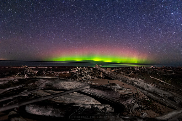 AUTUMN AURORAS