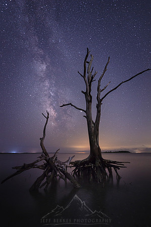 TIDAL WARS | MARYLAND