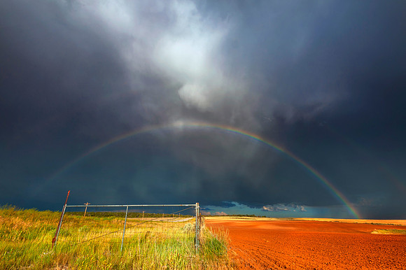 COLORADO RAINBOW