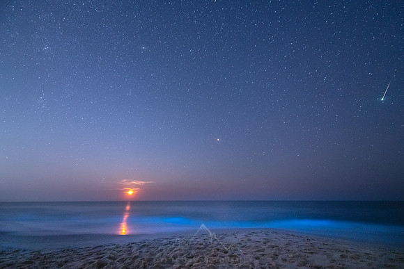 PERSEID METEOR SHOWER 2020