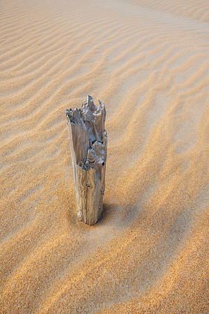DRIFTING SAND