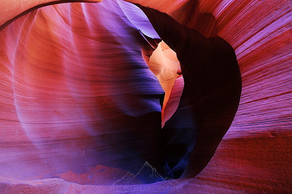 PAINTED DESERT