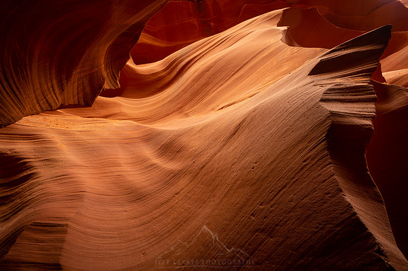 DESERT TALONS