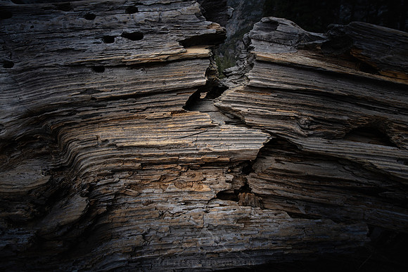 YOSEMITE | BROKEN WOOD