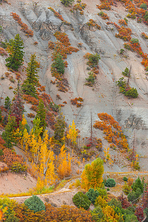 MOUNTAIN COLORS