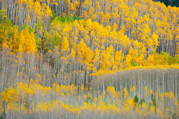 ASPEN COLORADO