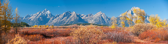 TETON PANO IN AUTUMN
