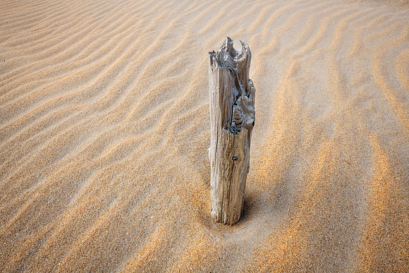 WAVES OF SAND | DELAWARE