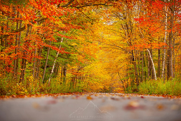 VERMONT IN AUTUMN