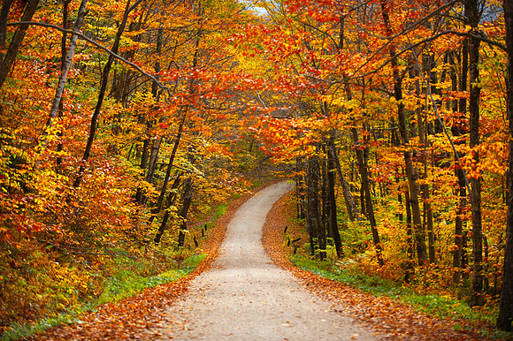 VERMONT IN AUTUMN