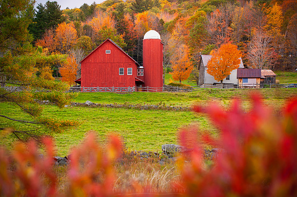 VERMONT IN AUTUMN