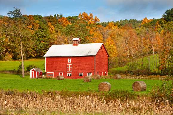 VERMONT IN AUTUMN