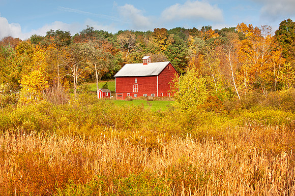VERMONT IN AUTUMN