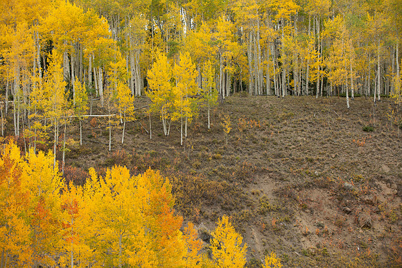 COLORADO IN AUTUMN
