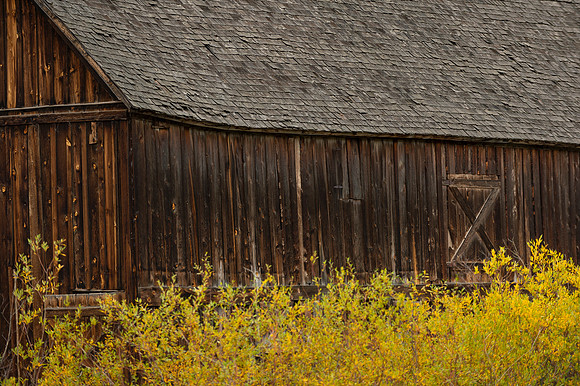 COLORADO IN AUTUMN