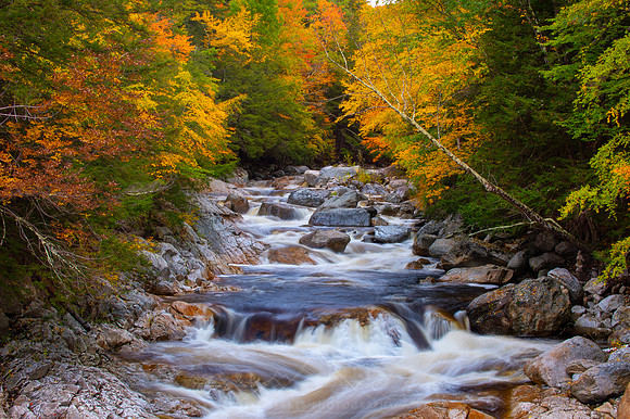 VERMONT IN AUTUMN