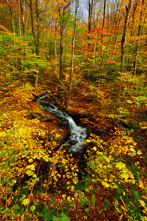 VERMONT IN AUTUMN