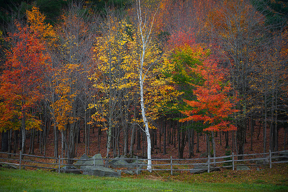VERMONT IN AUTUMN