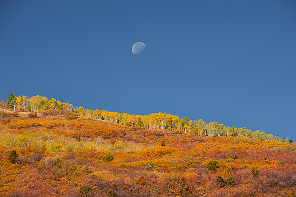 COLORADO IN AUTUMN