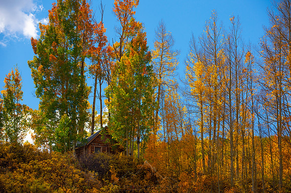 COLORADO IN AUTUMN