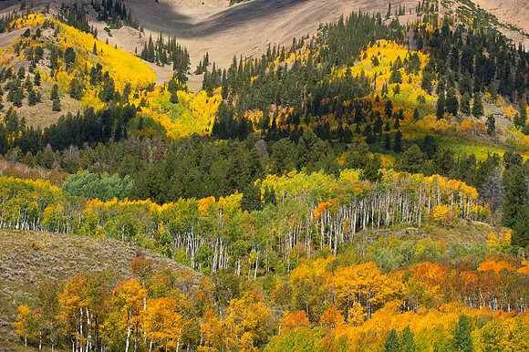 COLORADO IN AUTUMN