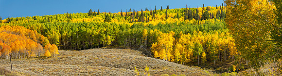 COLORADO IN AUTUMN