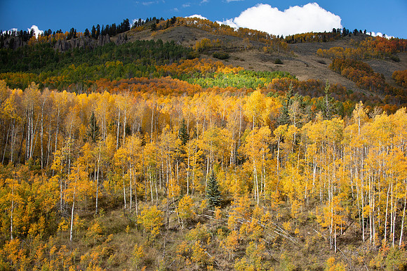 COLORADO IN AUTUMN