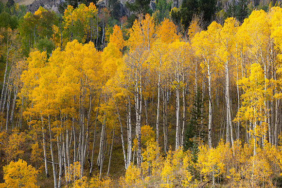 COLORADO IN AUTUMN