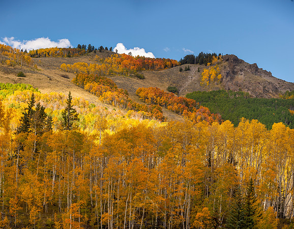 COLORADO IN AUTUMN