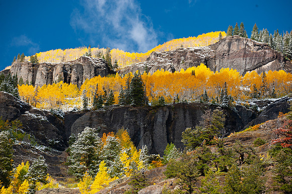 COLORADO IN AUTUMN