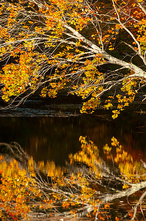 ACADIA NATIONAL PARK | MAINE