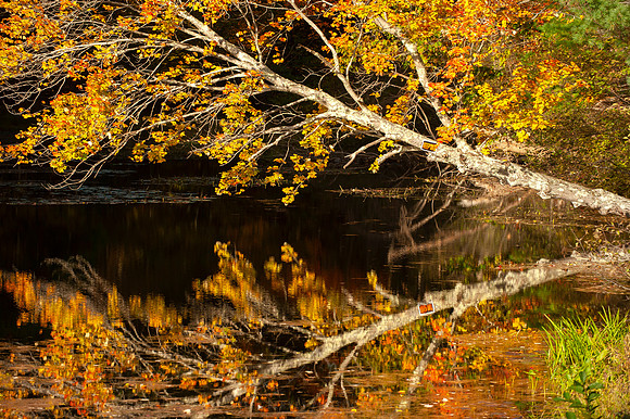 ACADIA NATIONAL PARK | MAINE