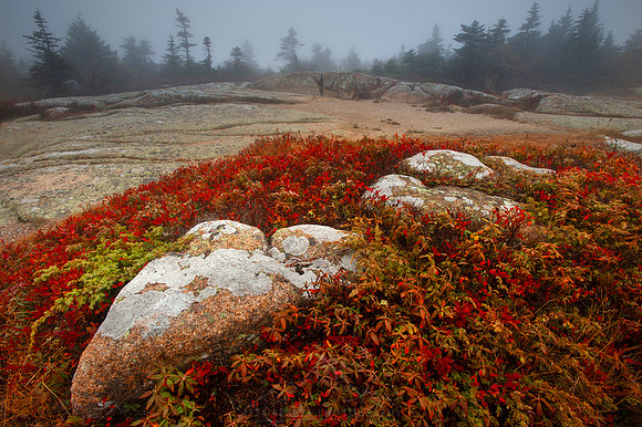 ACADIA NATIONAL PARK | MAINE
