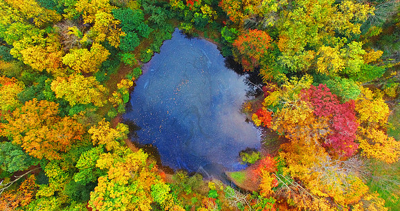 FOLIAGE HILL POND
