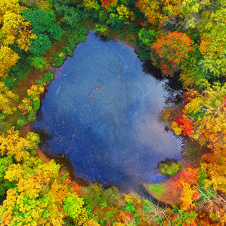 SPACE OF AUTUMN