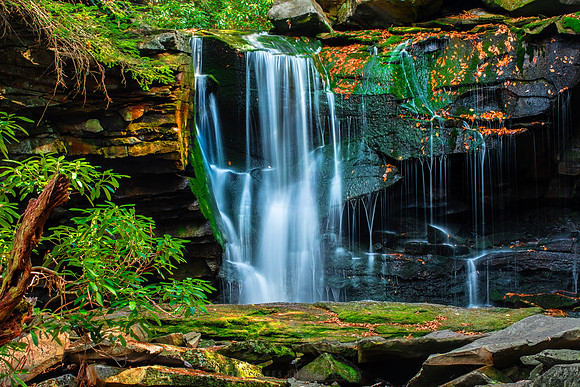 ELAKALA TRAIL FALLS | WEST VIRGINIA