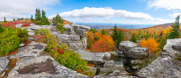 DOLLY SODS | WEST VIRGINIA