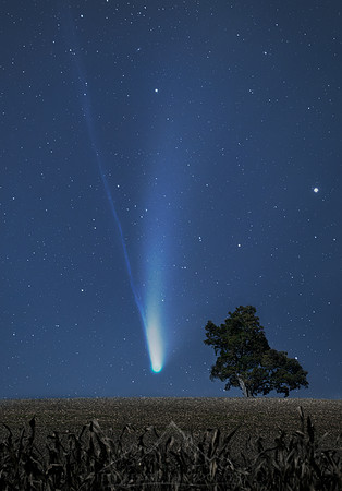 COMET NEOWISE OVER A FIELD