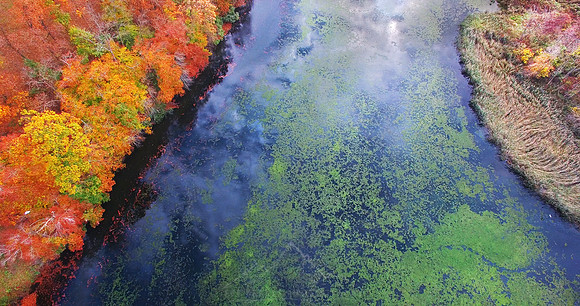 CHESTER COUNTY FALL COLORS