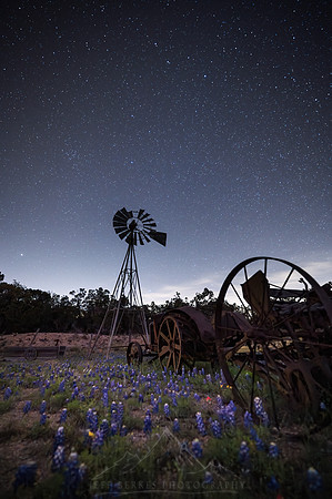 UNDER TEXAS SKIES