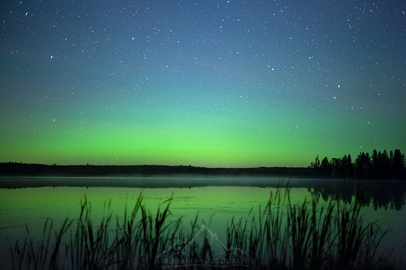 EAGLE AURORA