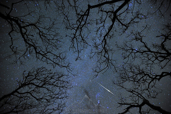 QUADRANTID METEOR 2011