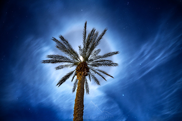LUNAR HALO OVER PALM