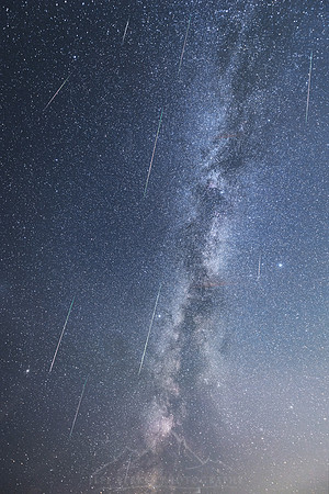 2021 PERSEID METEOR SHOWER