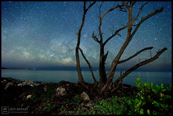 BAHIA NIGHTS