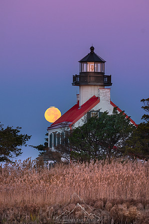TOTAL LUNAR ECLIPSE | NOVEMBER 2021
