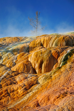 MAMMOTH HOTSPRINGS