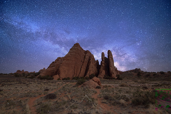 MILKY WAY FINS